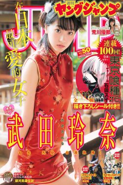 西北岁月电视剧免费观看完整版